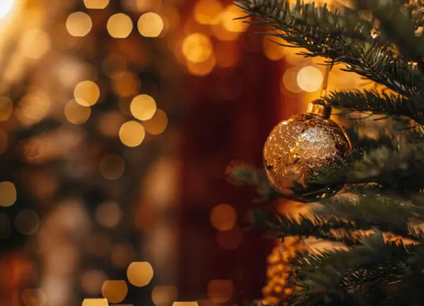 Weihnachtspauschalen in Österreich - Hotel Wagrainerhof