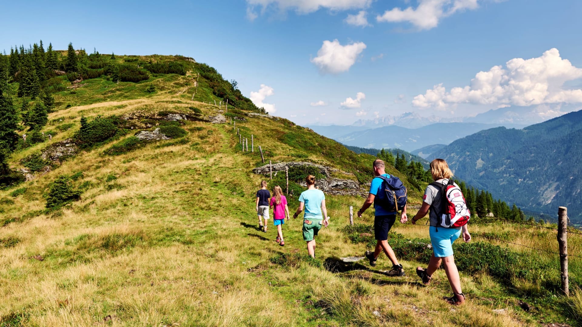 49690854227 C2ca6c811c O