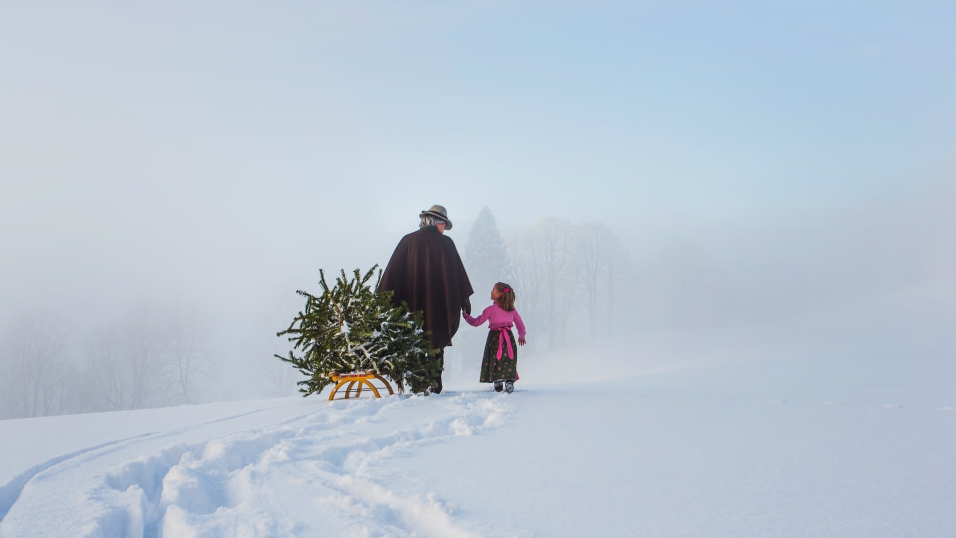 Rs99 Krispl Advent 8a