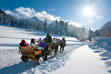 Pferdeschlittenfahrten - Winterurlaub in Wagrain