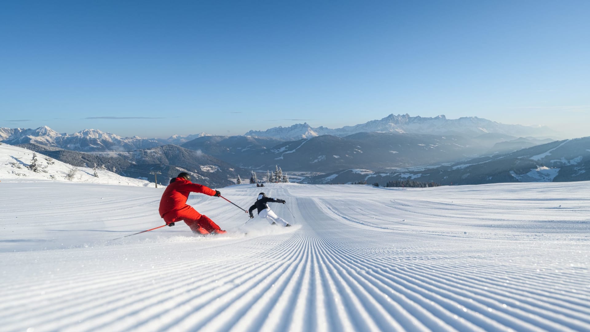 Skiamade Media 10000018535 Klein 1