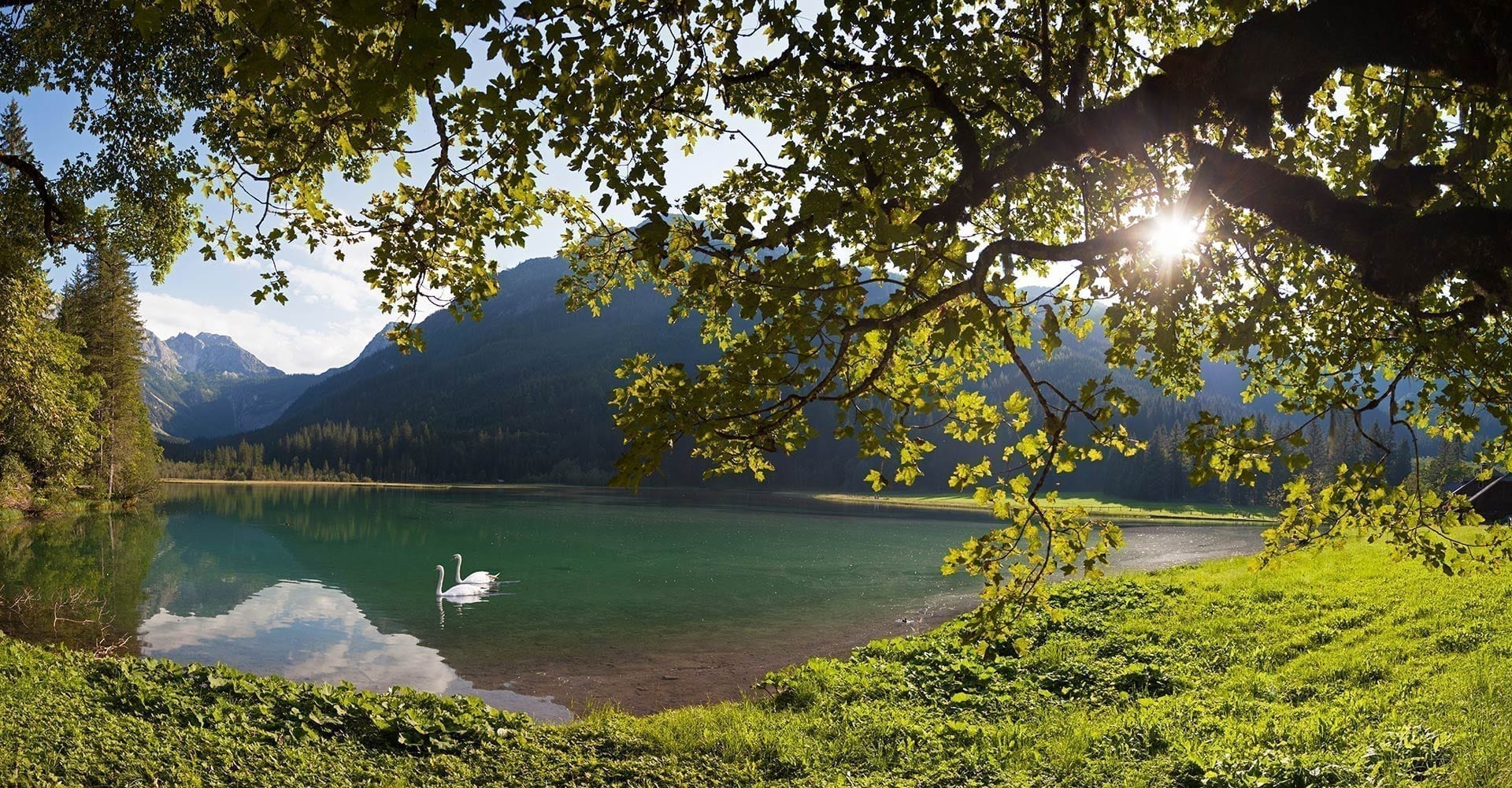 Sommerurlaub in Wagrain-Kleinarl