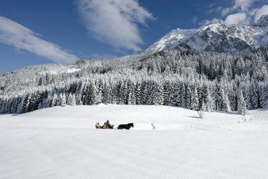 Pferdeschlittenfahrten - Winterurlaub in Wagrain